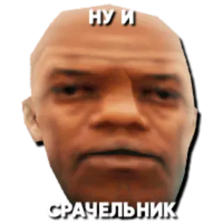 🐱 8b2e30cd НУ И
СРАЧЕЛЬНИК ミーム, 顔, テキスト, ロシア語 whatsapp sticker