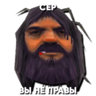 🐯 d0721b71 СЕР
ВЫ НЕ ПРАВЫ ミーム, 面白い, 顔, ひげ, 表情 whatsapp sticker