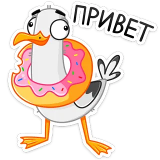Чайка Сэм 👉 @stik98 telegram stickers