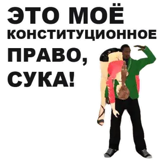 💑 c01f717f ЭТО МОЁ КОНСТИТУЦИОННОЕ ПРАВО, СУКА! Gewalt, Waffen, Kraftausdrücke, Drohung, Beleidigend whatsapp sticker