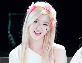 😄 468f04de Sana Sana, Kpop, Twice, cantora, coroa de flores, idol telegram sticker
