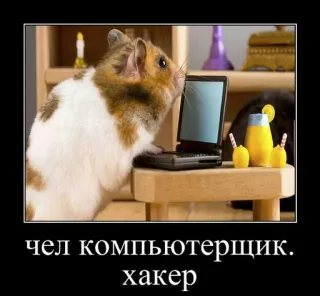 Чел. @floralfury whatsapp stickers