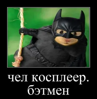 🐹 d59593d5 Batman чел косплеер. бэтмен batman, cosplay, divertente, meme, gatto, cosplayer batman telegram sticker