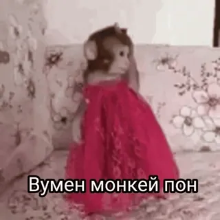 🤰 17c17427 Вумен монкей пон ลิง, ชุดเดรส, สัตว์, มีม, ตลก telegram sticker