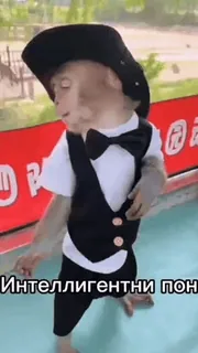 🦧 30d0ec0a Интелигентни пон ลิง, ชุดสูท, หมวก, สัตว์, น่ารัก, เต้น, ตลก telegram sticker