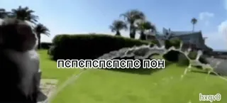 🦧 ae39dc83 пспспспспспспс пон telegram sticker