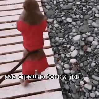 Пон @floralfury :: @fStikBot telegram stickers