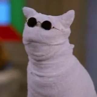 🐈 7efdcf50 chat, lunettes de soleil, cool, animal de compagnie telegram sticker