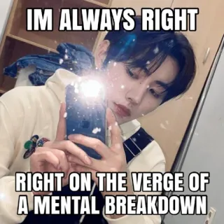 🤣 1097584b IM ALWAYS RIGHT
RIGHT ON THE VERGE OF
A MENTAL BREAKDOWN ミーム, 面白い, メンタルブレイク, ユーモア, 自撮り telegram sticker