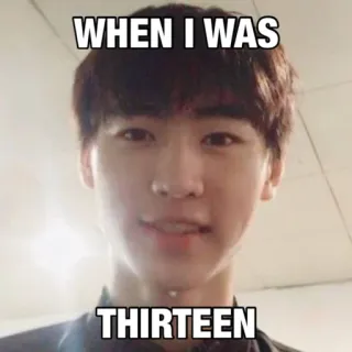👦 1fee56d5 WHEN I WAS THIRTEEN ミーム, ティーンエイジャー, ポートレート, ユーモア, 若い, 表情 telegram sticker