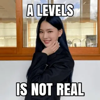 😍 2e2bf0ca A LEVELS
IS NOT REAL ミーム, 教育, レベル, 学校, 大学 telegram sticker