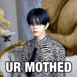 👩 49eb1086 UR MOTHED ミーム, 攻撃的, ユーモア, スラング telegram sticker