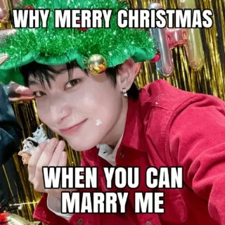 🎅 9635ab43 WHY MERRY CHRISTMAS WHEN YOU CAN MARRY ME クリスマス, プロポーズ, 面白い, ミーム, ホリデー telegram sticker