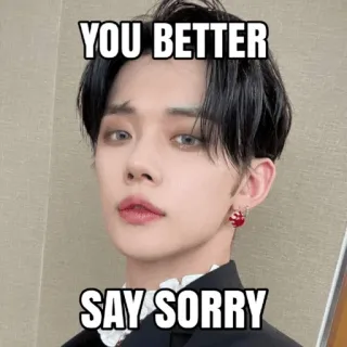 🙄 a8f308bc YOU BETTER SAY SORRY ミーム, 謝る, 脅迫, 人, ポートレート, KPOP telegram sticker
