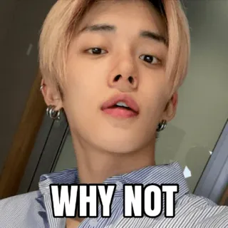 🤨 f80b0130 WHY NOT kpop, 人, ポートレート, どうして, ミーム telegram sticker