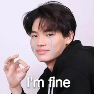 👌 1b2ab880 I'm fine 슬픔, 밈, 감정적인, 괜찮아, 울음 telegram sticker