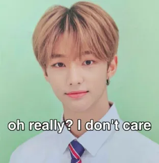 😘 51ab17e1 oh really? I don't care Meme, Sarkasmus, Gleichgültigkeit, Kpop, Reaktion, Lustig telegram sticker