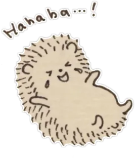 😂 4491e70a Hahaha... riccio, ridere, carino, animale, felice telegram sticker