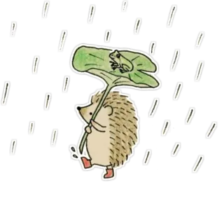 ☔ 54f26318 riccio, rana, pioggia, foglia, carino telegram sticker