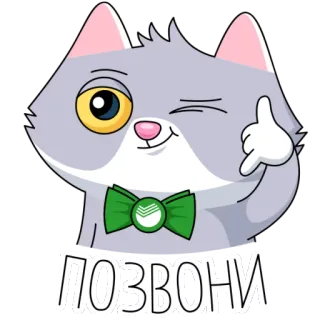 🤙 4d7373b0 ПОЗВОНИ แมว, โทร, ข้อความ, หูกระต่าย, สัตว์, สติกเกอร์ telegram sticker