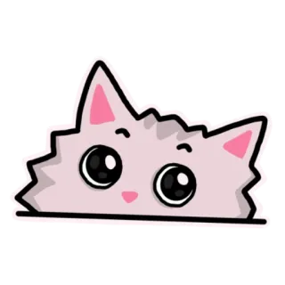 👀 d0f78d19 Katze, gucken, süß, Kätzchen, Tier, kawaii, Aufkleber telegram sticker