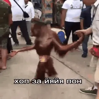 🤫 2f19affc хоп за йяйя пон telegram sticker