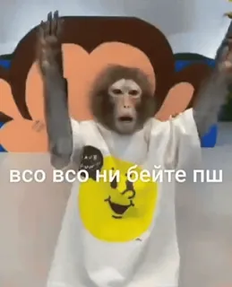 🥺 817b259e всо всо ни бейте пш Affe, flehend, Tier, Shirt telegram sticker