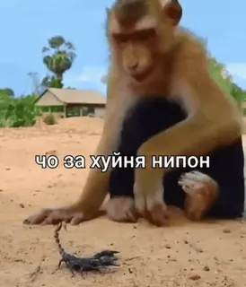 🚨НЕ ЖМИ 👉 @bibizyana_bratok telegram stickers