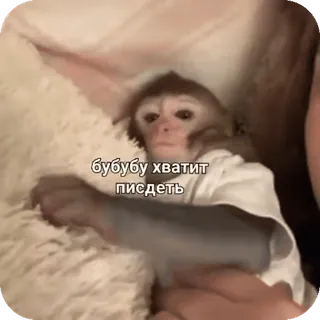 🚨НЕ ЖМИ 👉 @bibizyana_bratok telegram stickers