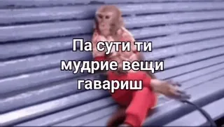 😎 c7964fd3 Па сути ти мудрые вещи гавариш Affe, Menschenaffe, sitzen, ausruhen, Tiere telegram sticker