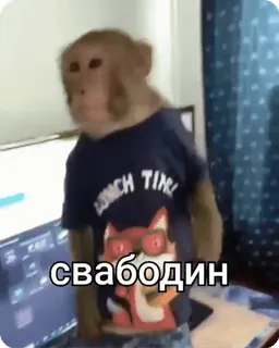 🕊 f2421b19 свабодин Affe, Tier, T-Shirt, Russisch telegram sticker