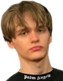 🤨 4407ec09 Palm Angels personne, blond, portrait, homme, visage telegram sticker