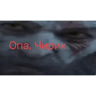 🤪 60ad404e Опа, Чирик telegram sticker