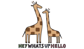 🐪 d1f9b86c HEY WHATS UP HELLO жирафы, животные, приветствие, привет, whatsapp, фраза telegram sticker