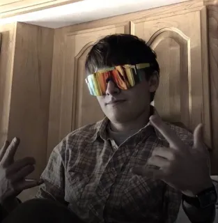 😎 de513e60 person, sunglasses, middle finger, offensive gesture, man, portrait telegram sticker