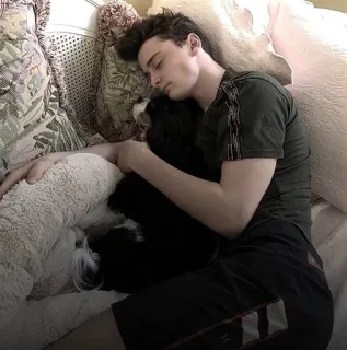 😴 f73dde54 sleeping, dog, man, pillow, rest, nap telegram sticker