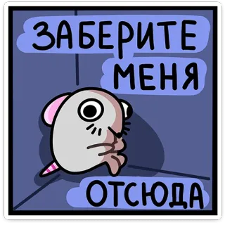 🥺 24938ec9 ЗАБЕРИТЕ МЕНЯ ОТСЮДА Cartoon, Traurig, Maus, Verzweiflung, Russisch telegram sticker