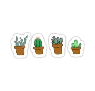 🌵 453ce11e cactus, plant, potted plant, succulent, nature, sticker telegram sticker