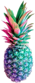 🍍 b534a37a pineapple, fruit, tropical, colorful, rainbow, summer telegram sticker