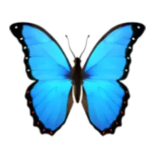 🦋 eff68060 butterfly, blue, insect, nature, wings telegram sticker