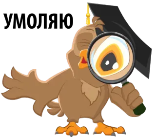 😜 86864dc7 uil, afstuderen, vergrootglas, onderwijs, slim, vogel telegram sticker