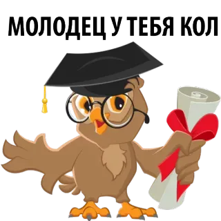 😜 9110040b МОЛОДЕЦ У ТЕБЯ КОЛ uil, afstuderen, diploma, gefeliciteerd, mortarboard, cartoon, schattig telegram sticker