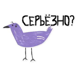 🤨 46283f3c СЕРЬЁЗНО? птица, серьёзно?, вопрос, русский whatsapp sticker