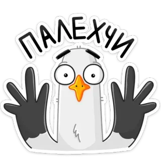 📛 4d02c56e ПАЛЕХИ oiseau, doigt d'honneur, offensant, dessin animé, geste whatsapp sticker