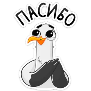 😊 520acfe6 ПАСИБО oiseau, mouette, merci, mignon, dessin animé, gratitude, pasibo whatsapp sticker