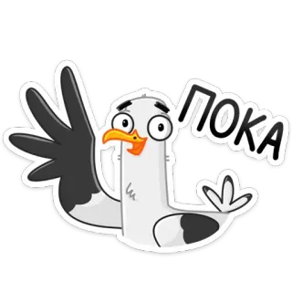 👋 68b46a81 ПОКА Mouette, Oiseau, Dessin animé, Animal, Russe, Au revoir whatsapp sticker