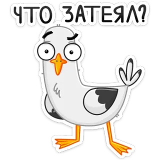 🤔 a0177ca8 ЧТО ЗАТЕЯЛ? mouette, dessin animé, oiseau, question, russe, animal whatsapp sticker