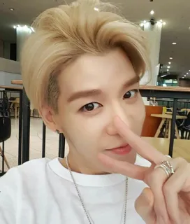 ✌ 44e829e3 homme, coréen, cheveux blonds, signe de paix, selfie, jeune adulte telegram sticker