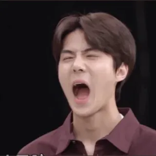 👑 36f21402 telegram sticker