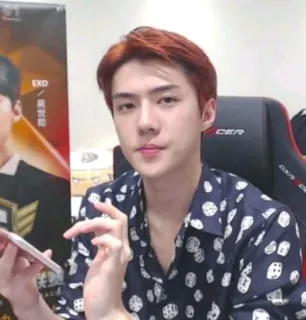 👑 558ae260 telegram sticker